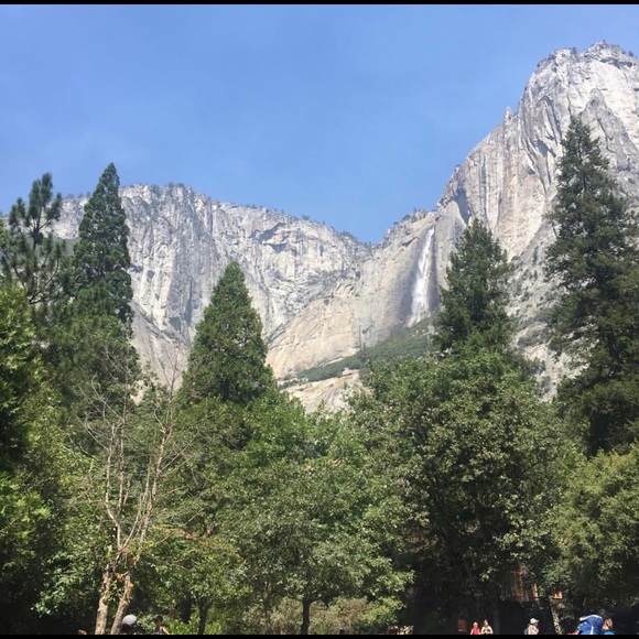 Meet your Posher, John - Picture 1 of 1